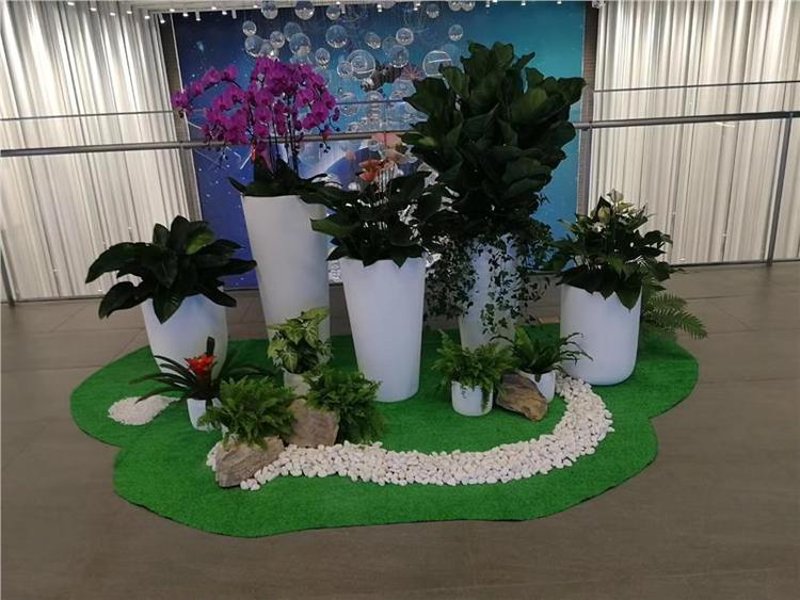 花卉租赁：让您的空间焕发新的生机
