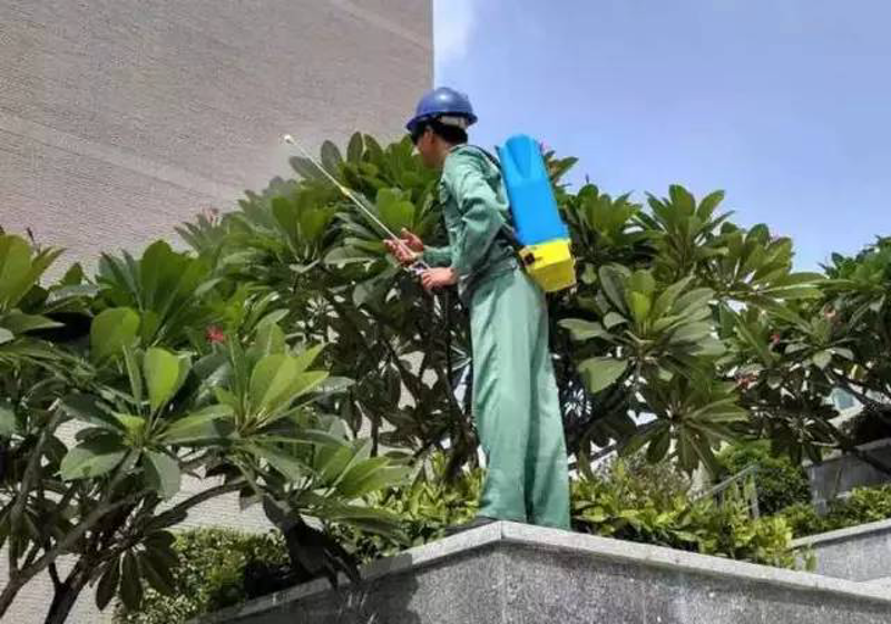 如何打造你的私人花园？——从零开始的庭院设计指南