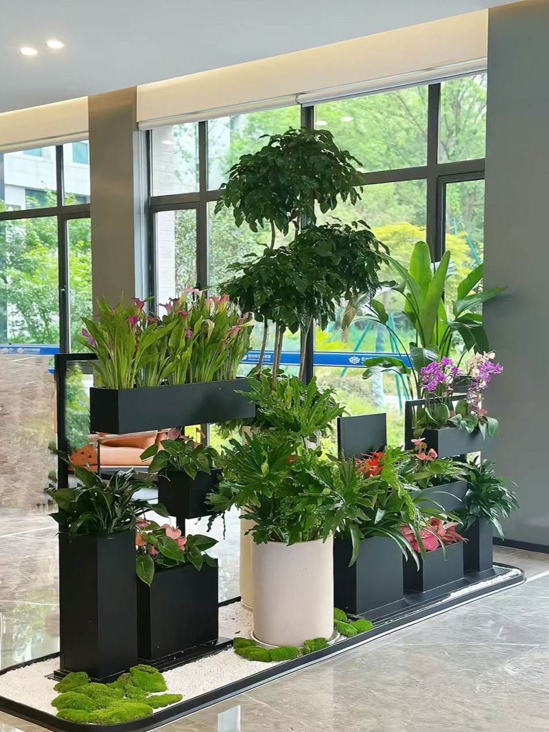 花卉租赁